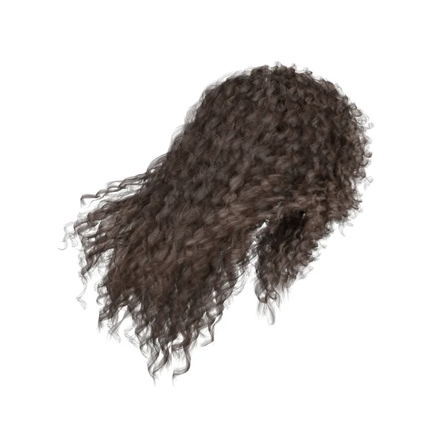 Rendering Curly Brown Hair Isolated — Zdjęcie stockowe