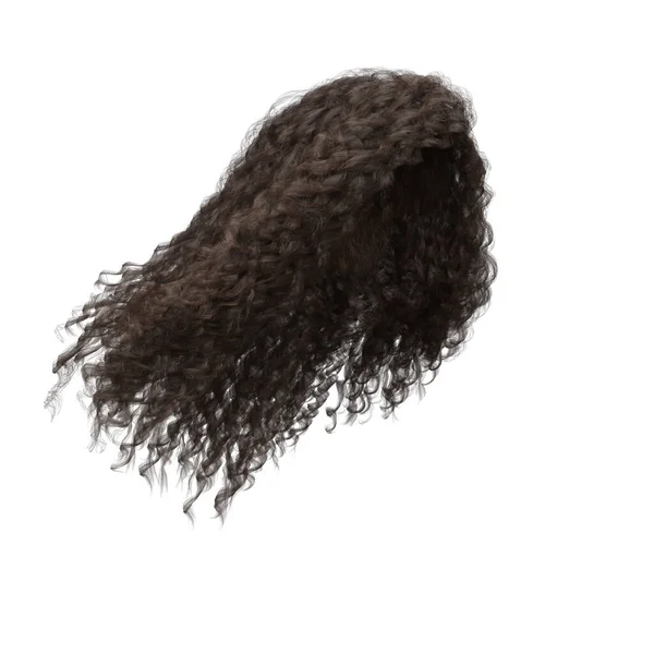 Визуализация Вьющиеся Каштановые Волосы Изолированы — стоковое фото