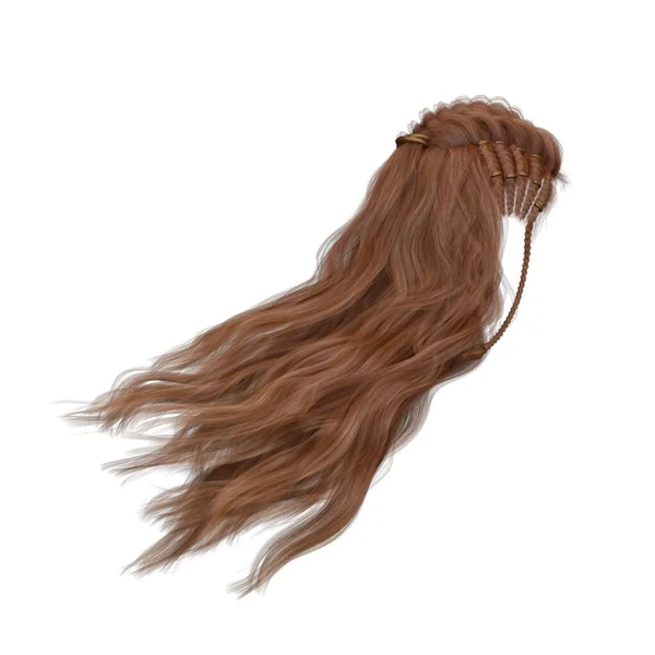 Longo Cabelo Fantasia Isolado Render — Fotografia de Stock