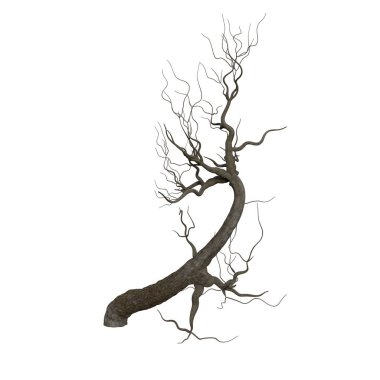 3d rendering old dead tree stump and roots isolated