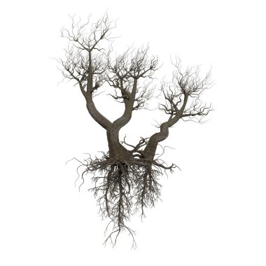 3d rendering old dead tree stump and roots isolated