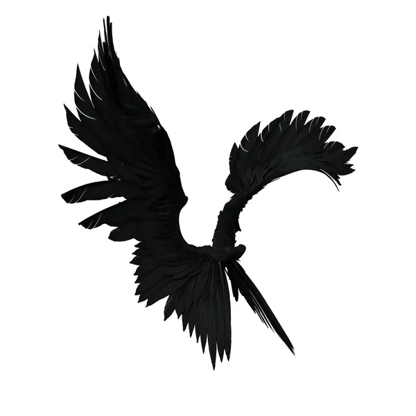 Καθιστώντας Μαύρα Φτερά Αγγέλου Φαντασίας Απομονωμένα — Φωτογραφία Αρχείου