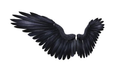 3D fantezi siyah karga kanatlarını izole et