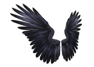 3D fantezi siyah karga kanatlarını izole et