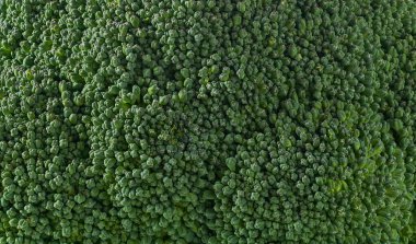 yeşil taze organik brokoli dokusu, yakın plan..