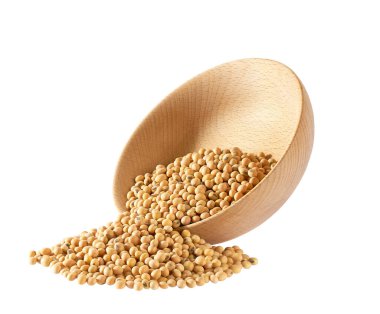 organic soybeans are scattered out of the wooden bowl isolated on white background.
