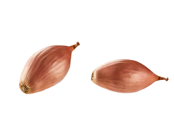 Single Shallots Onion Isolated White Background — Stock Photo, Image