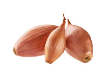 Beyaz arka planda izole edilmiş salyangozlar. Üç tam soğan soğanı soyutlanmış..