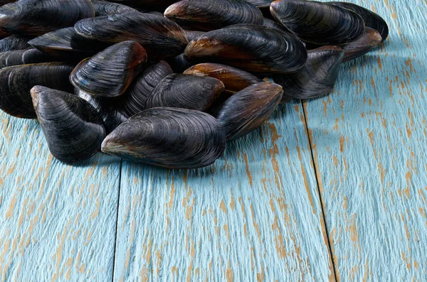 Fresh Raw Mussels Blue Wooden Vintage Backgound Place Text — Stock Photo, Image