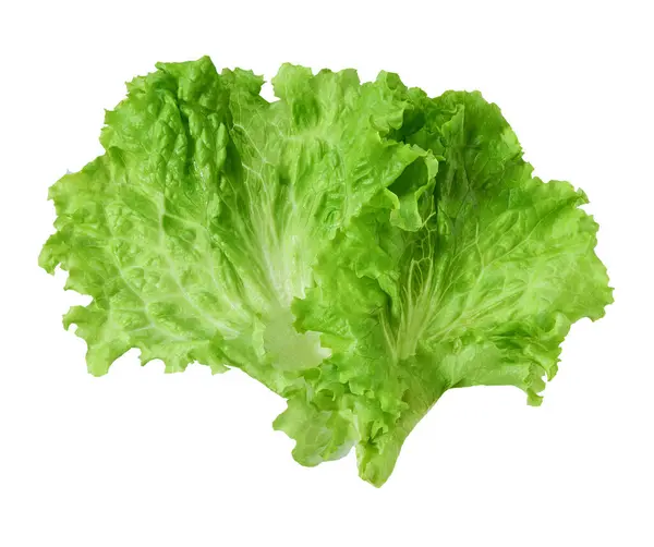 Lettuce Leaf Isolated Salad Isolated White Background Top View — Stock Photo, Image