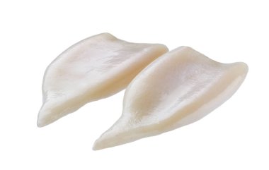 Beyaz arkaplanda çiğ mürekkep balığı tüpü var. Taze çiğ kalamar ya da mürekkep balığı filetosu beyaz arka planda izole edilmiş. Taze deniz ürünleri izole edilmiş..