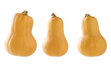 Beyaz arka planda izole edilmiş balkabağı şeklinde bir şişe..