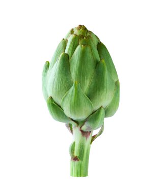 Enginar çiçeği yenilebilir tomurcuğu beyaz arkaplanda izole edilmiş..