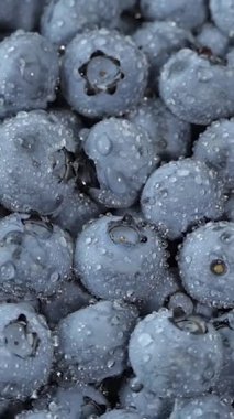 Fresh juicy blueberries rotation. Close up of blueberries. Loop motion