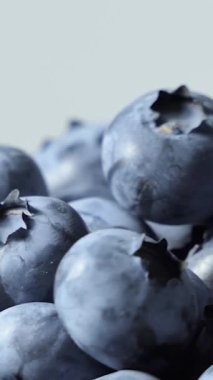 Detail of Blueberries. Macro trucking shot. Close-up, Top view. Bog bilberry, bog blueberry, northern bilberry or western blueberry Vaccinium uliginosum