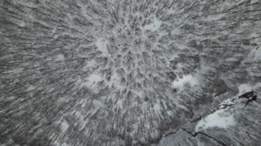 Drone flying low and slow surrounded by towering Fir trees covered in heavy snow. Rocky Mountains are seen in the distance. 4 k