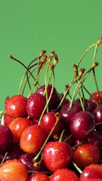 Red Cherries Water Drops Green Background Macro Video Juicy Berries — Video