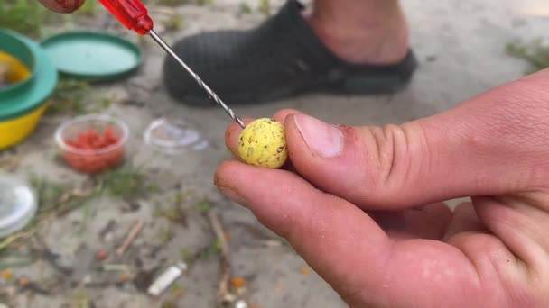 Hands Fishermen Prepare Corn Fish — Video