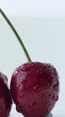 Beyaz arka planda kırmızı kiraz damlaları. Makro video, sulu böğürtlen izole