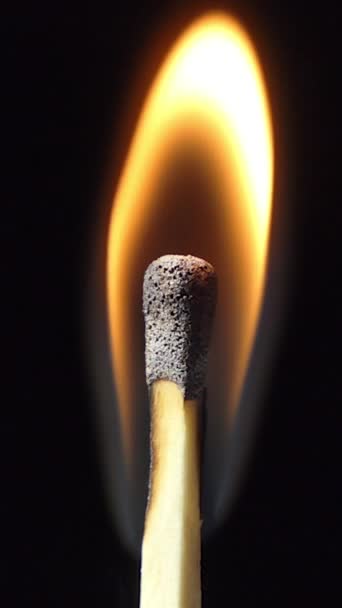 マッチと黒の背景の炎に火をつけます スローモーション クローズ アップ 煙がたくさん 炭化木材を残して火傷後一致します — ストック動画