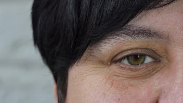 Womans Eye Half Face Portrait Close Female Face Brown Eyes — Vídeo de stock