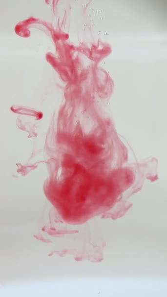 特写镜头在水中的红水粉云和移动缓慢的议案 用于背景或背景与烟雾或油墨的效果 Alpha 通道是使用它 Luma — 图库视频影像