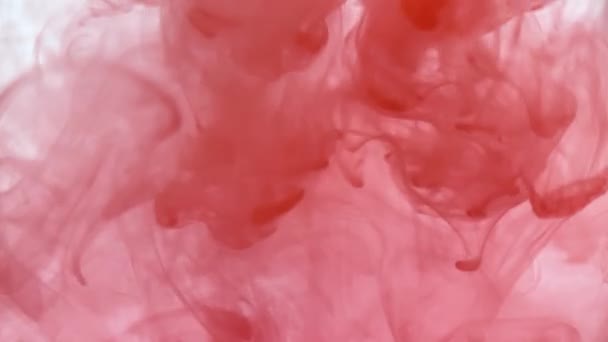 Крупним Планом Червоний Гуаш Хмари Воді Рухаються Повільному Русі Використовувати — стокове відео