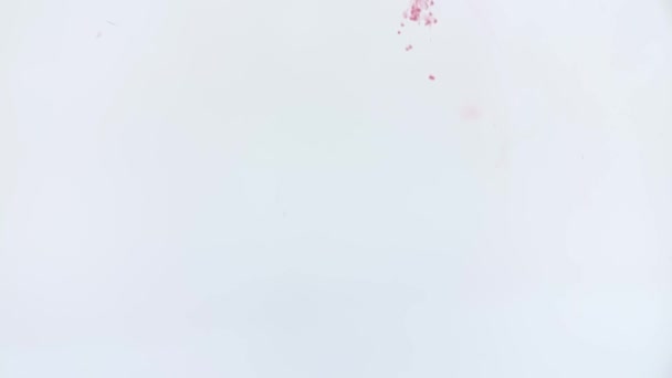 Pintura Vermelha Cai Água Câmera Lenta Full Vídeo Fundo Branco — Vídeo de Stock