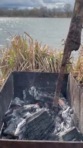 金属烤炉与煤 炉膛里的炉火在燃烧 野餐的性质 煤与火一起燃烧 煤火在烤架上燃烧 在火盆上烧木烧烤 — 图库视频影像