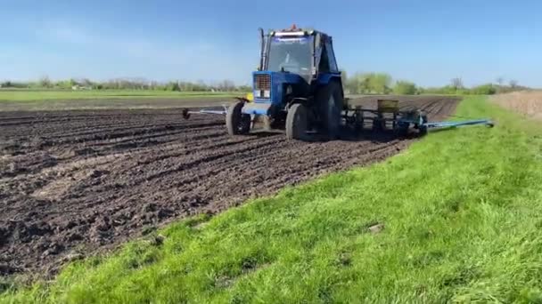 トウモロコシの穀物で畑を播く トラクターはシーダーでフィールドを動作します — ストック動画