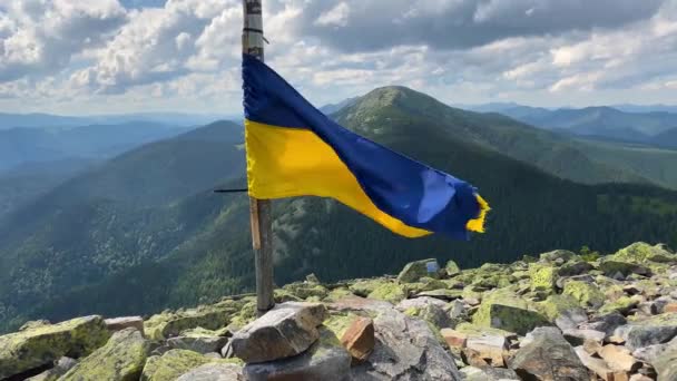 Bandera Textura Tela Altamente Detallada Ucrania Movimiento Lento Bandera Ucrania — Vídeos de Stock