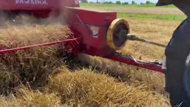 Weizenernte Einem Sonnigen Sommertag Mähdrescher Erntet Weizen — Stockvideo
