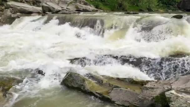 Doğa Nehri Şelalesi Orman Güneşi Büyülü — Stok video