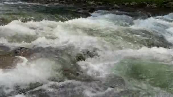 Sungai Pegunungan Kecil Dengan Air Jernih Air Mengalir Atas Batu — Stok Video