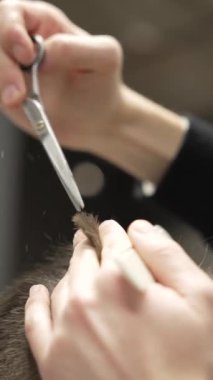 Berber dükkanı tanınmayan erkek berber elleri müşterilerin saçlarını tıraş ederken yavaş çekimde. Erkek baş müşteri, saç bakımı için klasik güzellik salonunu ziyaret etti.