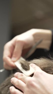 Berber dükkanı tanınmayan erkek berber elleri müşterilerin saçlarını tıraş ederken yavaş çekimde. Erkek baş müşteri, saç bakımı için klasik güzellik salonunu ziyaret etti.