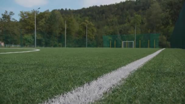 Une Ligne Blanche Sur Terrain Football — Video