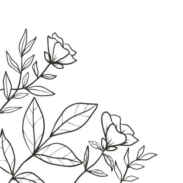 Elle çizilmiş çiçek aranjmanı çiçek ve yaprakları özetliyor