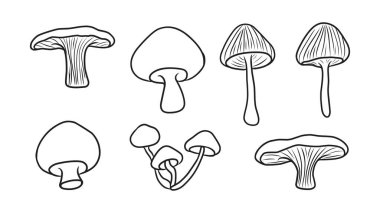 Doğa Tasarımları İçin Ana Hatlar Biçiminde Çeşitli El Çizimi Mantar Resimleri Koleksiyonu