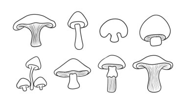 Doğal Temalar İçin Ana Hatlar Biçiminde El Tarzı Mantar Resimlerinin Çeşitliliği