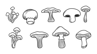 Doğal Temalar İçin Ana Hatlar Biçiminde El Tarzı Mantar Resimlerinin Çeşitliliği