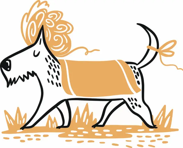 Battaniyeye sarılmış bir köpek.