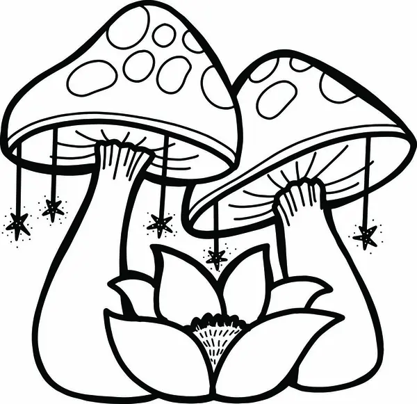 İki mantarın el çizimi\ vektör illüstrasyonu