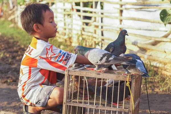 Jakarta, Endonezya - 5 Mart 2023: Küçük bir çocuk Jakarta 'da güneşli bir öğleden sonra evcil güverciniyle oynuyor.