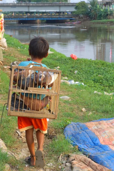Cakarta, Endonezya - 13 Mart 2023: Sırtında güvercinlerle dolu bir kafes ile nehir kenarında yürüyen bir çocuk görülüyor..