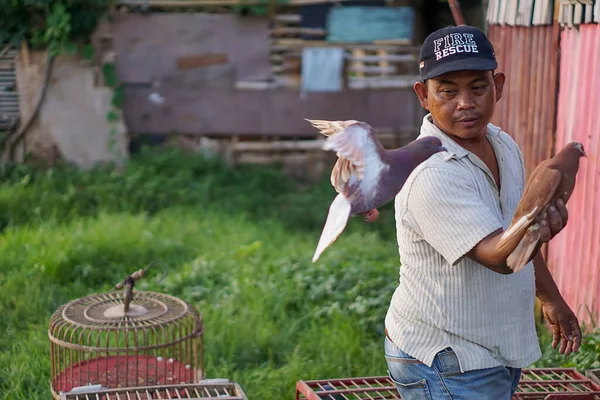 Jakarta, Endonezya - 3 Nisan 2023: Asyalı bir adam evcil güvercinini eğitiyor