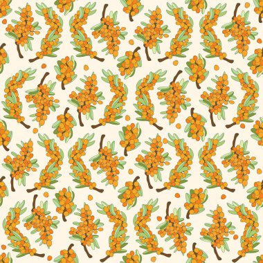 Dikensiz deniz dikenleri deseni. Parlak deniz dikenli üzümleri, dallar ve yapraklar. Vektör çizimi çizimi çizimi. Kozmetik ve tıbbi tesis. Portakal arkaplansız arkaplan.