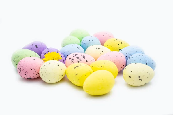 彩色复活节鹌鹑蛋 — 图库照片