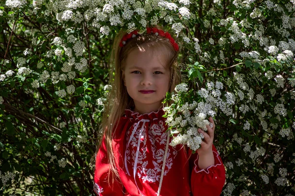 民族衣装を着た小さなウクライナ人女性が — ストック写真