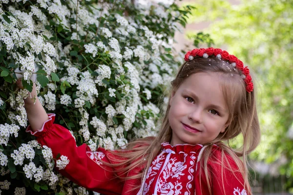 Malá Ukrajinská Žena Národním Oblečení — Stock fotografie